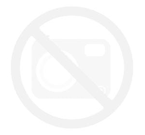 Ser Bastardo del Grappa